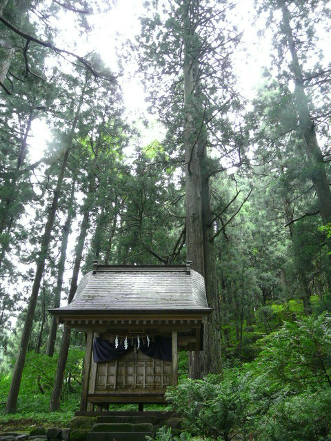 e0145782_17264081.jpg