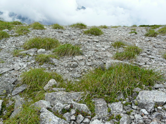 e0145782_5424886.jpg