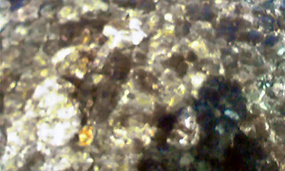c0125283_18328.jpg
