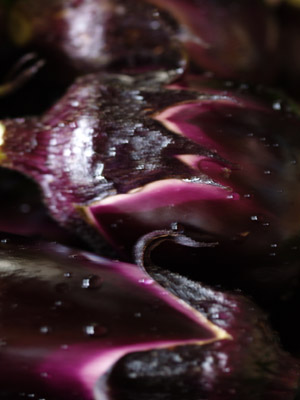 c0145183_9165699.jpg