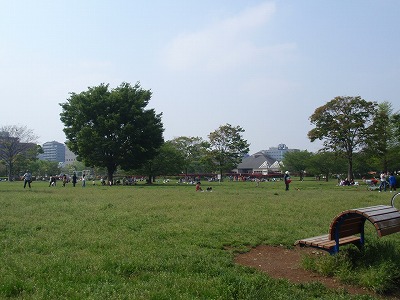 c0105785_102921.jpg