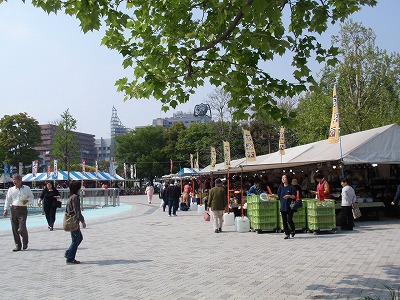 c0105785_10452068.jpg