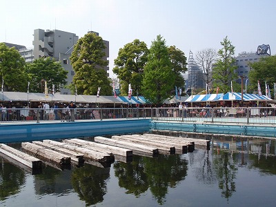 c0105785_1051404.jpg