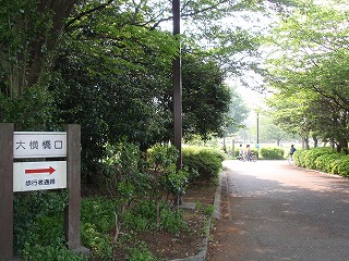 c0105785_9523158.jpg