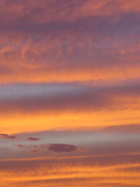 b0083902_16231372.jpg