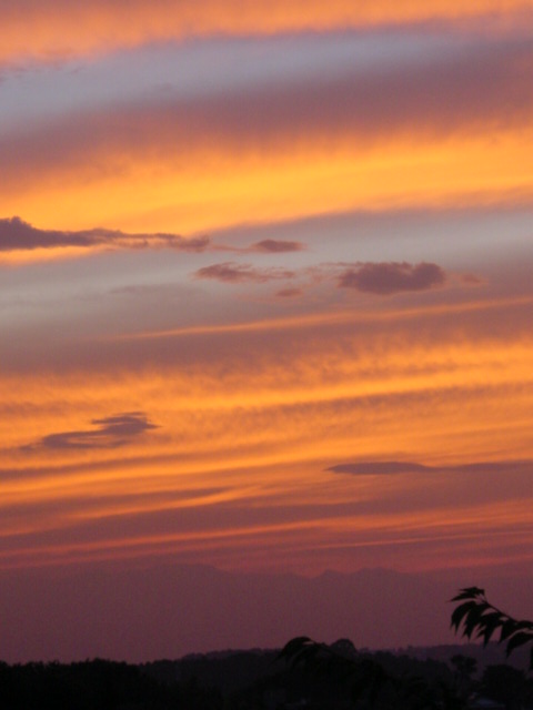 b0083902_16244359.jpg