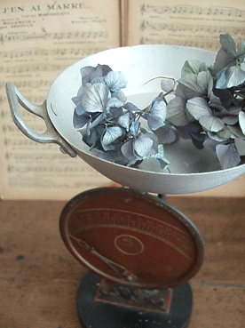 c0129702_15445332.gif