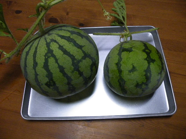 d0129002_18313858.jpg