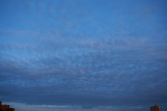 e0117503_15135416.jpg