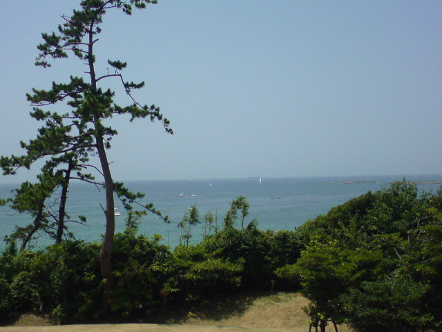 b0044209_0331240.jpg