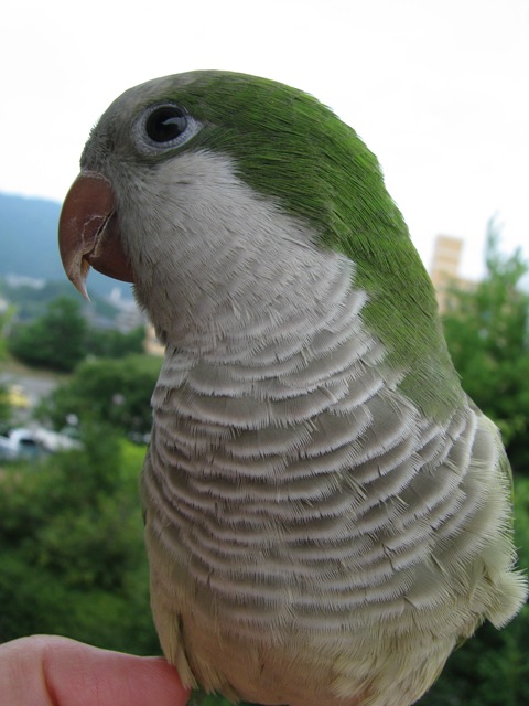d0081210_22353132.jpg