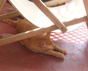 e0115312_7361888.jpg