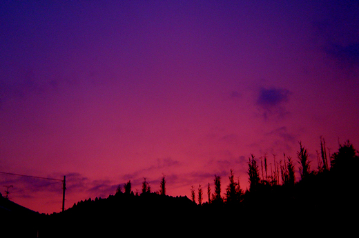 c0147123_2231217.jpg