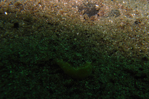 b0044726_0124270.jpg