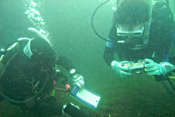 b0044726_013013.jpg