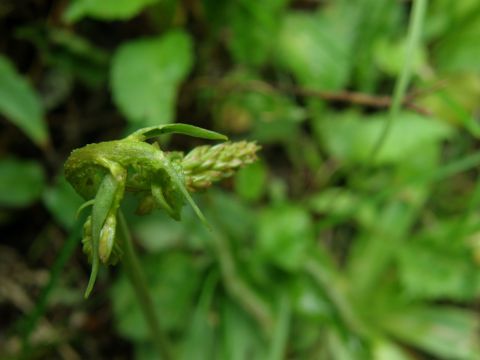 e0145033_15161582.jpg