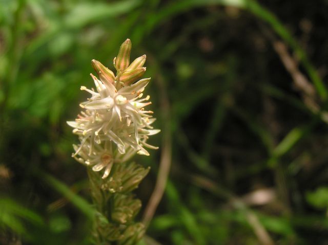 e0145033_15303465.jpg