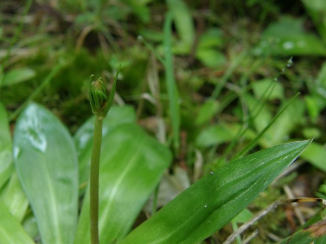 e0145033_1572741.jpg