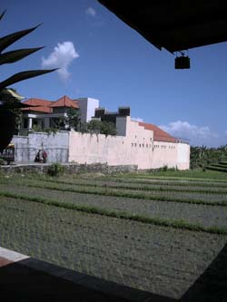 b0035734_14262688.jpg