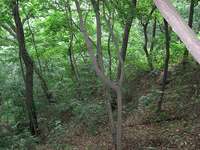 e0140334_6415161.jpg