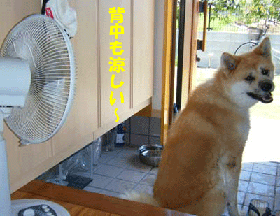 f0008935_1236267.gif