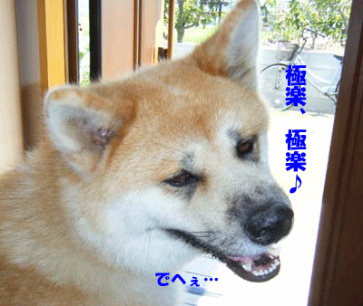 f0008935_12414655.gif