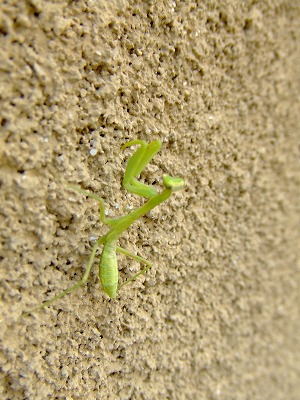 f0068649_2229264.jpg
