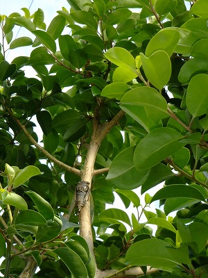 f0068649_22315489.jpg