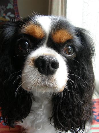 c0145250_1255891.jpg