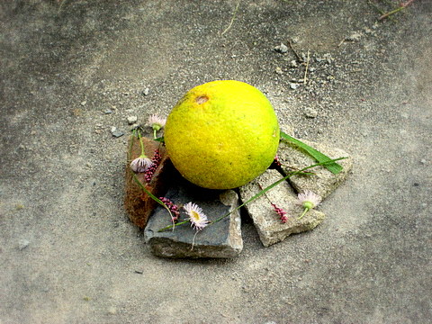 f0173150_2150757.jpg