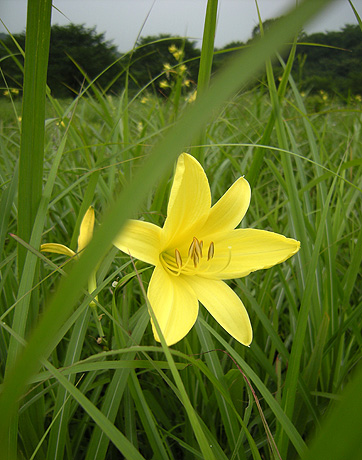 a0001354_20211274.jpg