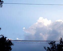 d0050155_0234991.jpg