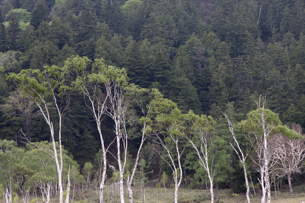 e0122855_10484443.jpg
