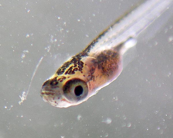 e0035757_21531061.jpg