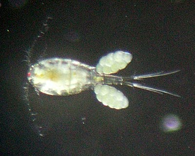 e0035757_21535775.jpg