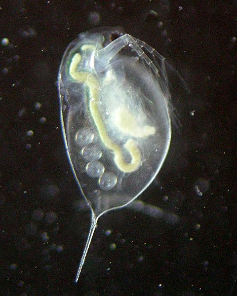 e0035757_22101368.jpg