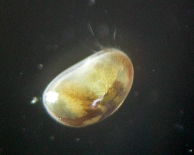 e0035757_22105426.jpg