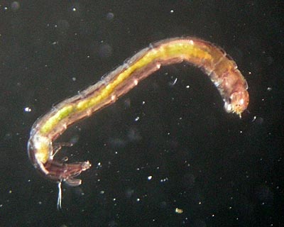 e0035757_2212384.jpg