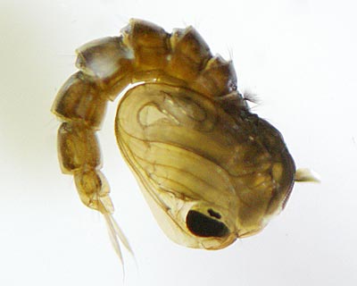 e0035757_2213781.jpg