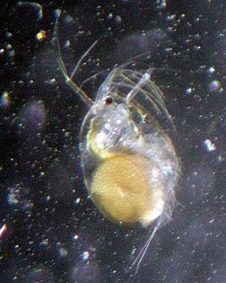 e0035757_222492.jpg