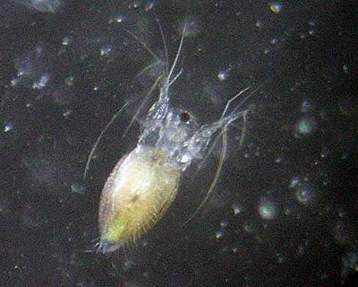 e0035757_226462.jpg