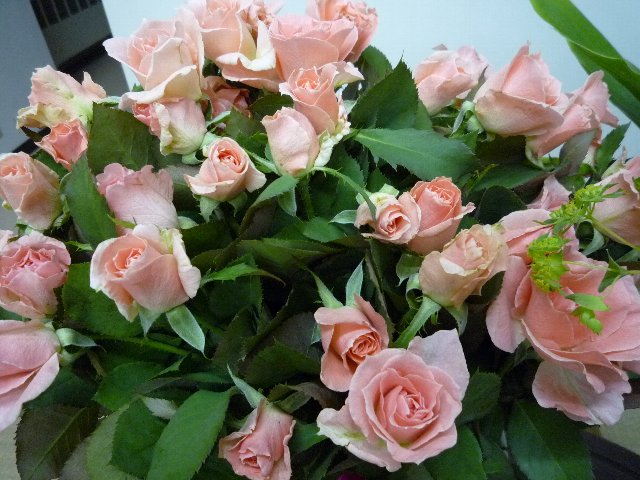 d0129962_20534370.jpg
