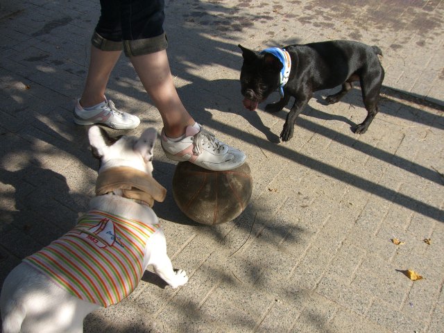 c0081363_23475583.jpg