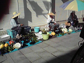 c0011169_8131598.jpg