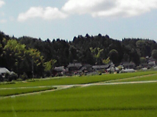 c0011169_8364334.jpg