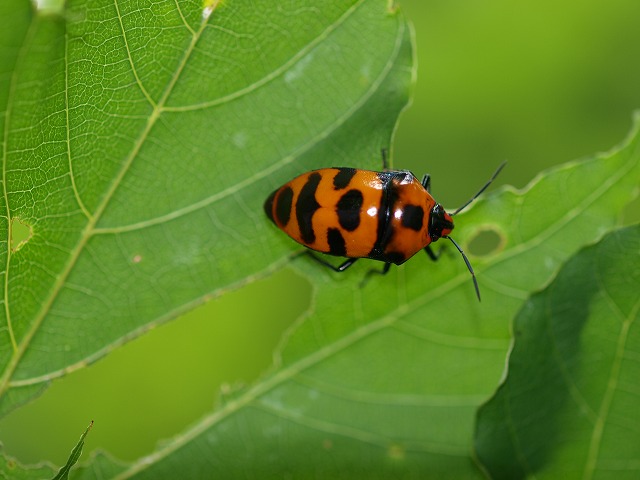 b0135573_23142686.jpg