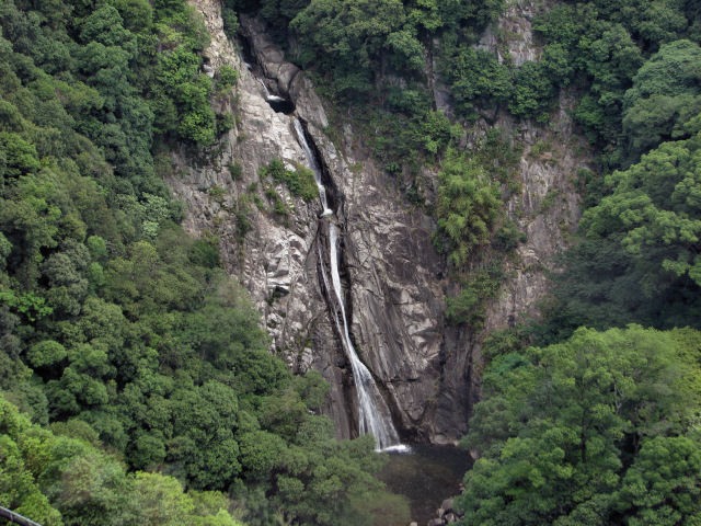 d0079373_22335588.jpg