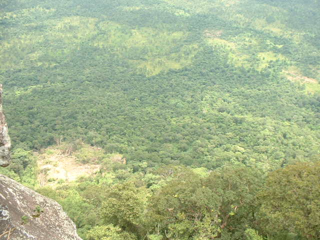 b0035675_1242713.jpg