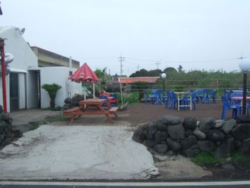 f0070875_21195543.jpg