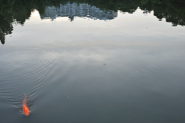 b0102780_22254252.jpg